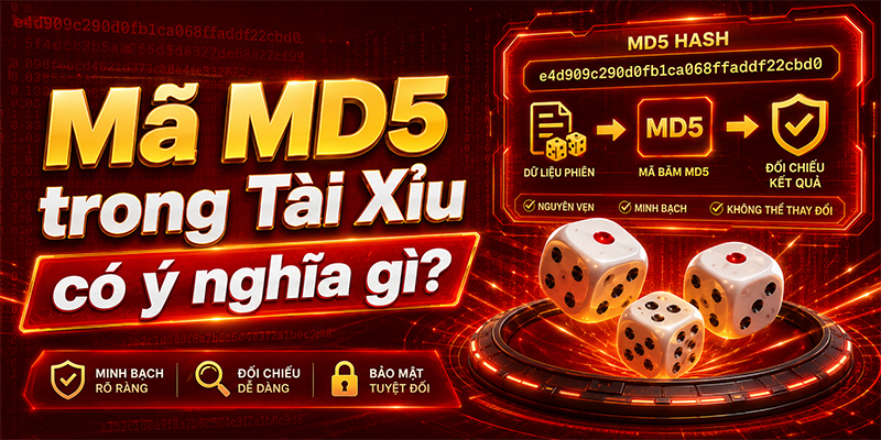 Ý nghĩa của mã MD5 trong tài xỉu